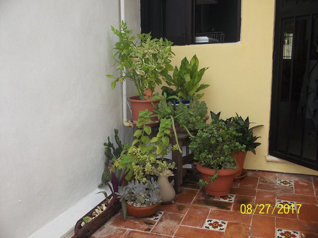 La Casa Del Chac Villa Mérida Buitenkant foto